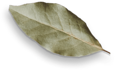 Hero Image 1