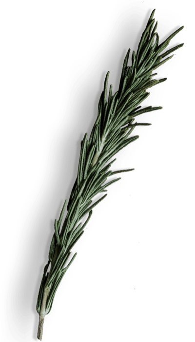 Hero Image 3