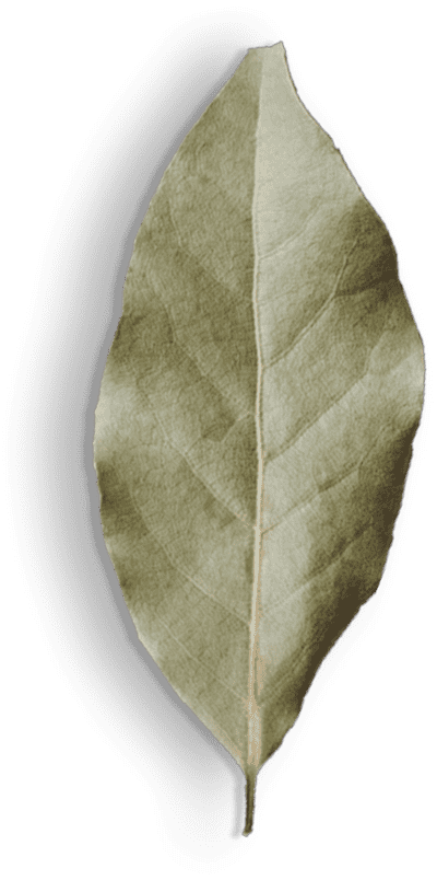Hero Image 4
